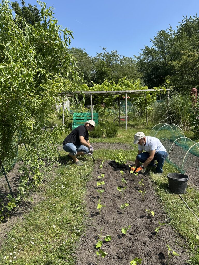 De Buitenkamer’s garden