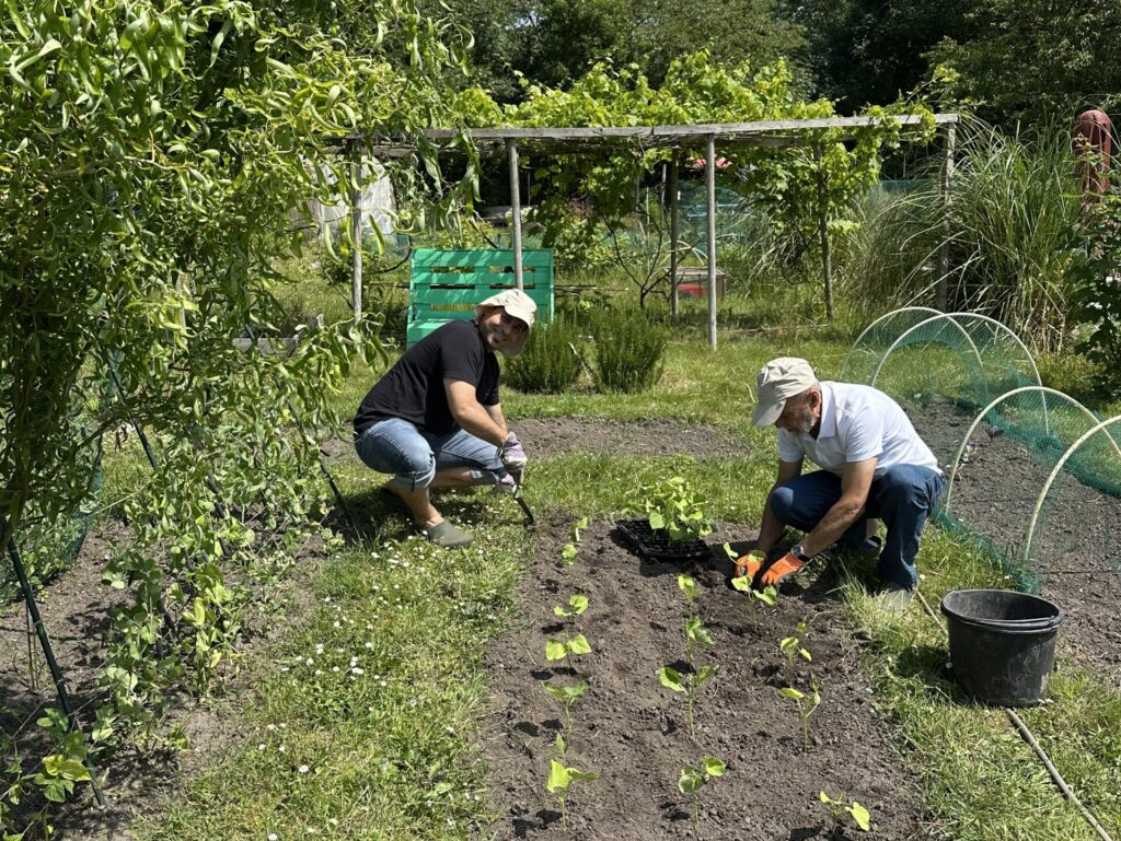 Moestuin van de Buitenkamer